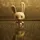 AnimationNation