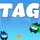 Tag Game